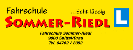 Partner/Sponsor Logo