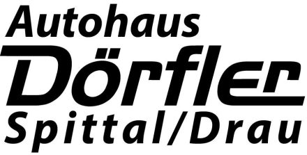 Partner/Sponsor Logo